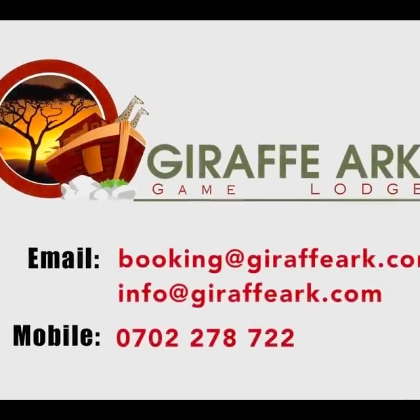 Giraffe Ark Kenya Ad
