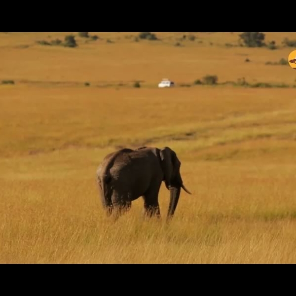 Maasai Mara Destination